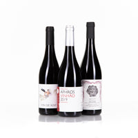 The Cavallari Collection