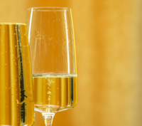 The Sparkling Membership - old